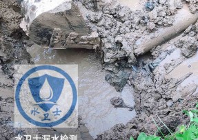 廉江水管漏水检测公司5